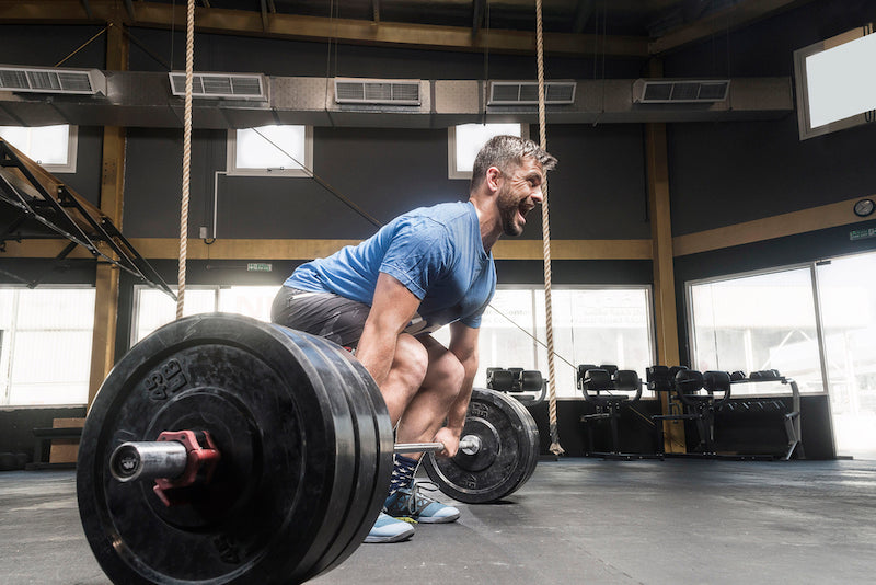 Is Glutamine Good for Muscle Growth?