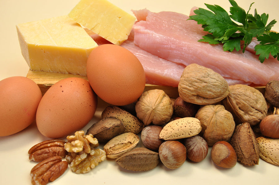 What is Protein Synthesis and How Does it Work?