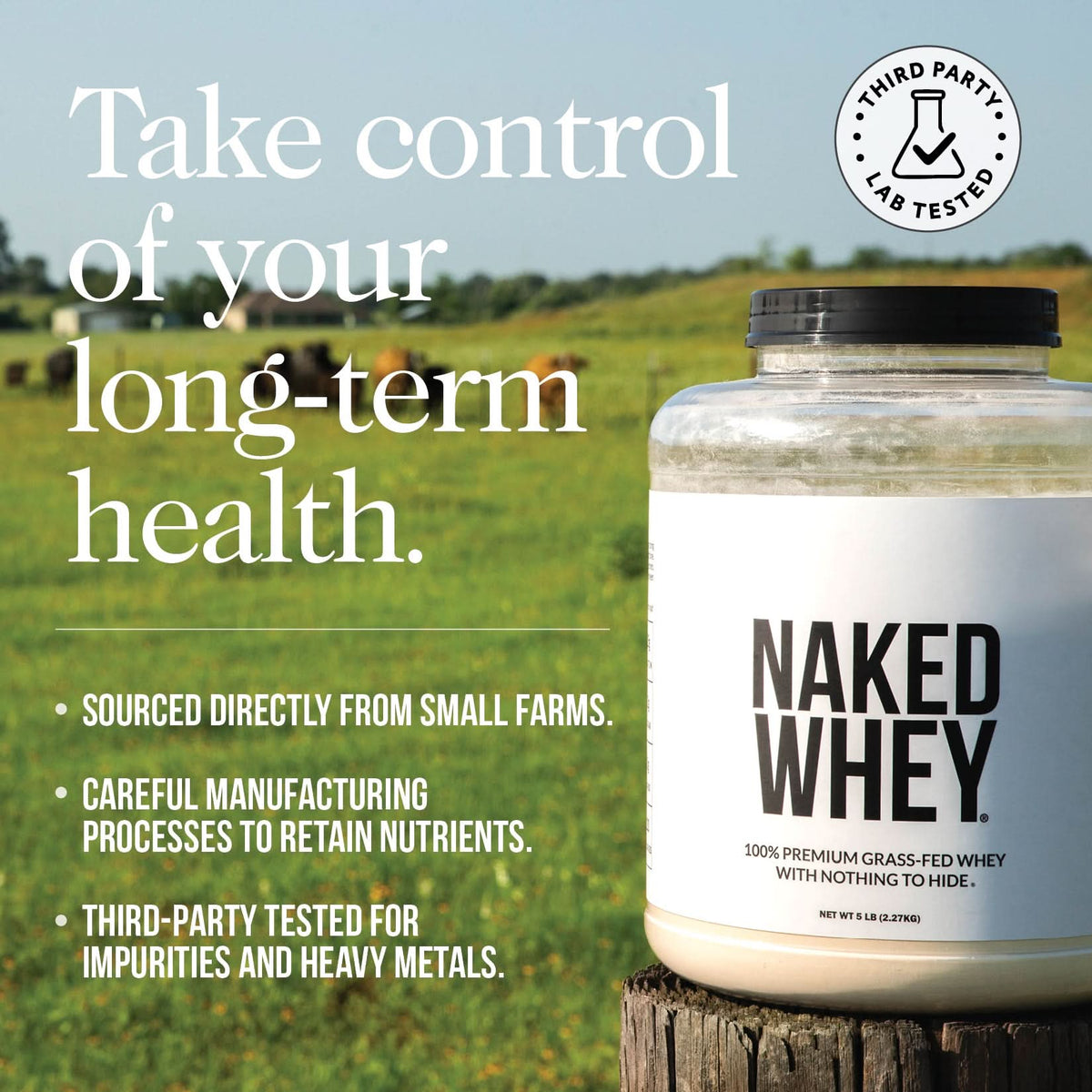 Chocolate Whey Protein Powder | Naked Chocolate Whey - 450g