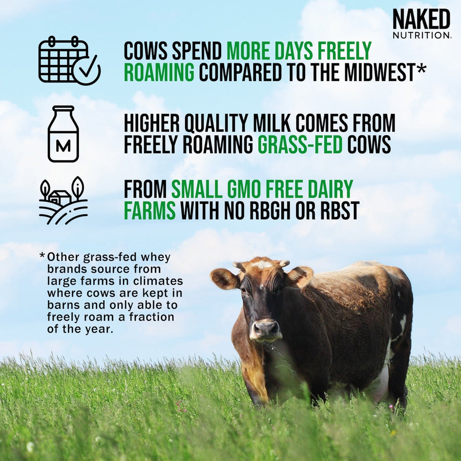 Grass Fed Whey Protein Powder Sample Pack