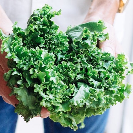 What are the Super Greens Powder Benefits?