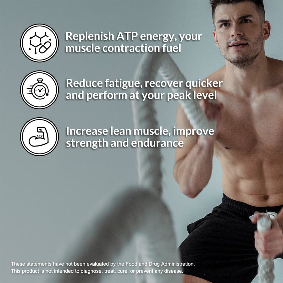 Creatine Monohydrate Powder | Naked Creatine - 500g