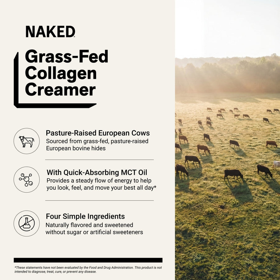 Mocha Coffee Creamer | Naked Collagen Creamer