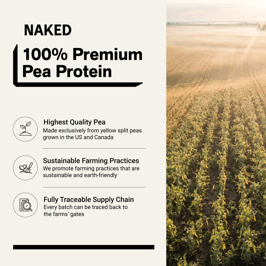 Chocolate Peanut Butter Pea Protein Powder | Naked Pea - 5LB